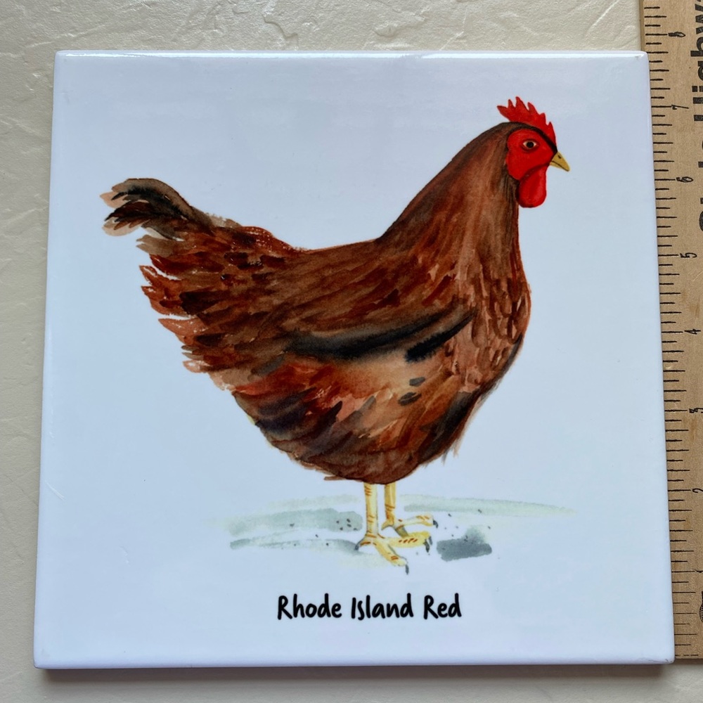 Rhode Island red hen trivet